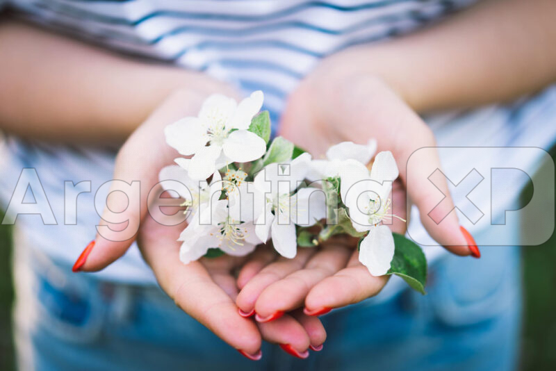 How to take care of your body naturally with herbal care