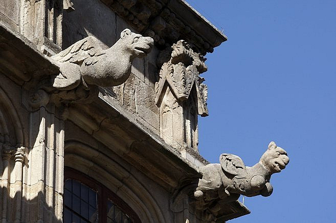 El Palacio de los bichos
